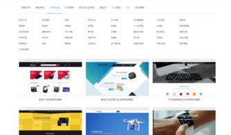 Zuma与艺术类行业在3721自助建站平台的应用潜力分析